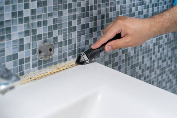 Best Certified Mold Removal  in Toccoa, GA